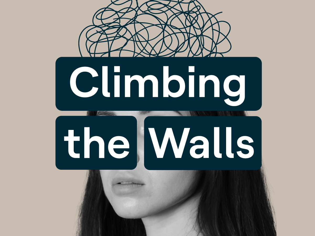 Introducing Climbing The Walls